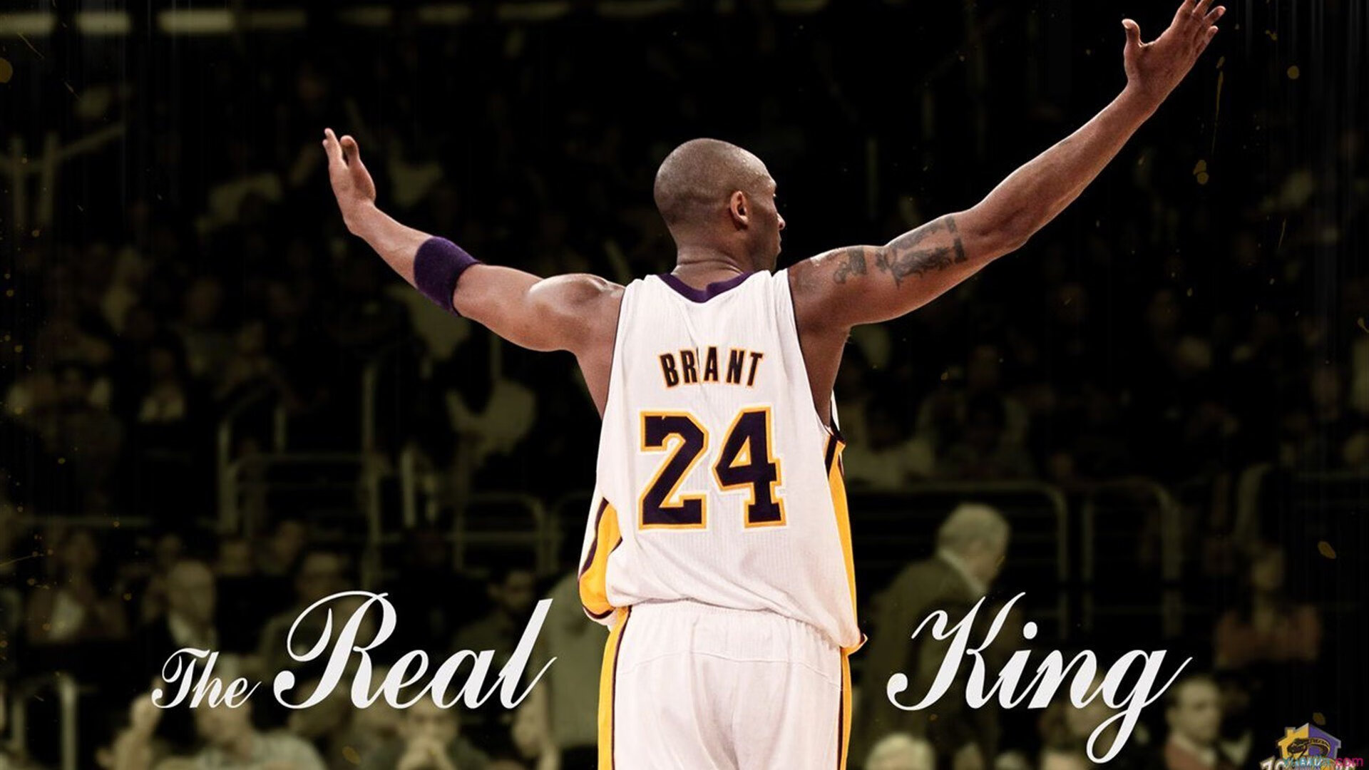 拉沃尔杯完胜联合杯，纳达尔刷新纪录，定义网球新时代的唯一性